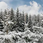 Hotel Starchlhof Schladming