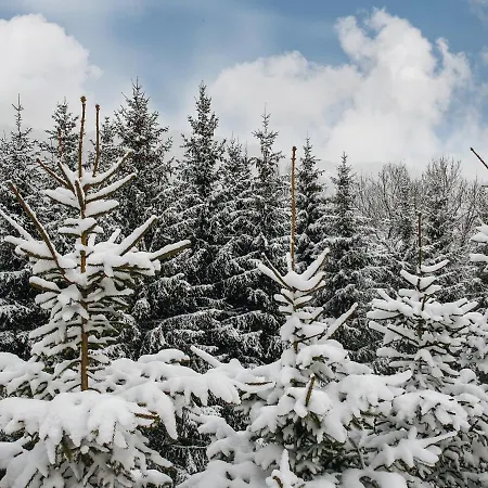 Otel Starchlhof Schladming