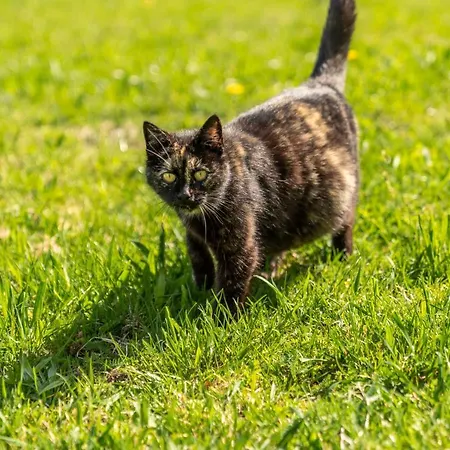 Otel Starchlhof Schladming