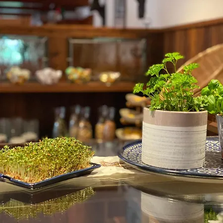 Starchlhof Otel Schladming