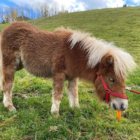Starchlhof Hotel Schladming