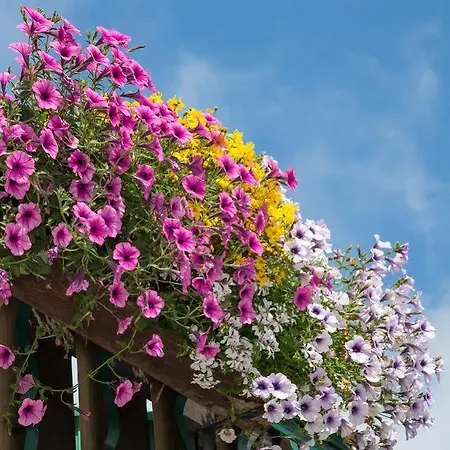 Starchlhof 3* Schladming