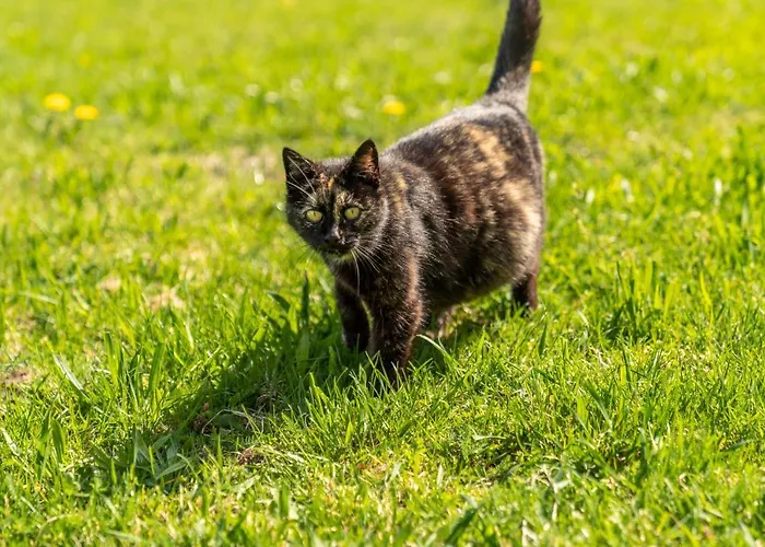 Hotel Starchlhof Schladming
